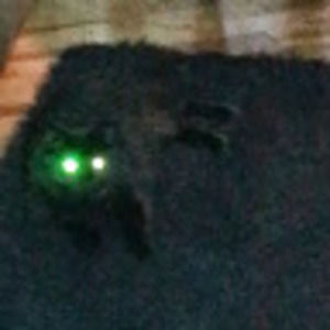 Meet your Posher, Lynne annette